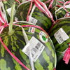 祭ばやし「信州産スイカ入荷しました！」
