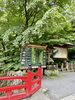 初夏の緑に包まれた神秘的な参道「緑に抱かれた榛名神社へ　パワースポット日帰り旅のご提案」