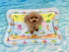 チャコちゃん「波とわんこ🌊」