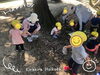 お土産に持って帰ろうね！！「どんぐりコロコロ♪【交野市・小規模保育園】」