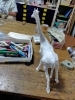白いキリン「キリン色塗り開始」