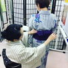 浴衣3回講座¥1500／1回60分「浴衣・袷・単衣【葛飾区限定！成人式の豪華振袖フルセットレンタル店】」