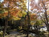 カラコロの足湯の裏「【信州　戸倉上山田温泉】有田屋旅館の周りも紅葉して来ました🍁」