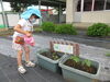 オクラにたっぷりお水をあげよう♡「さつまいもの苗を植えたよ♪」