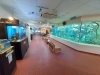 館内「あわしまマリンパークが閉園/静岡/熱帯魚/水槽レンタル/島田市/ペットショップ/内装プロデュース」