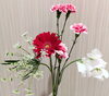 「お花の定期便で暮らしに彩りを♪ 今週のお花をご紹介します！」