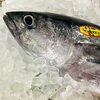 「魚魚市場鮮魚コーナーおすすめは「天然カンパチ・ビンチョウマグロ」です♪」
