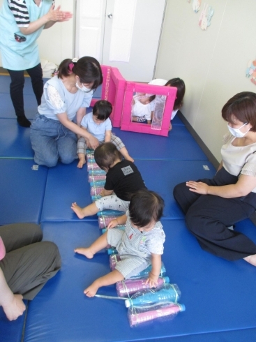 この橋、音が鳴るな～「今日は「うさぎ組」がありました！」