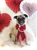 ムッ太くん　シャンプーコース「Happy Valentine ♡」