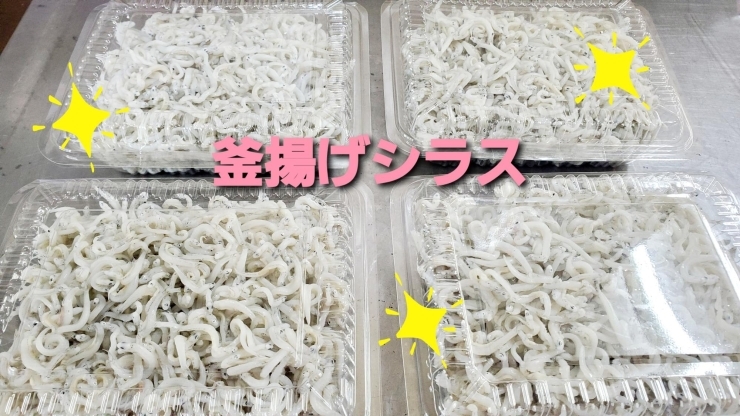 1パック　300円「○本日のお刺身○【島根県産】ヨコワマグロ、天然タイ○本日のお惣菜も数種ございます！」