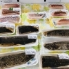 「魚魚市場鮮魚コーナーおすすめは「チカメキントキ・カツオのたたき」です♪」