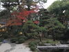 お庭「【思わず写真を撮りたくなる景色】」