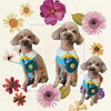 「Dog salon mofu mofu　余市町」