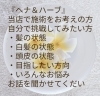 カウンセリングは無料です🌿「ちょこちょこ生えてくる白髪を抜かずに『ちょこちょこセルフヘナ』はじめてみませんか？」