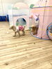 入ったり出たり。気にいるボール探したり^ - ^「ましゅまろ幼稚園　（＾_＾）」
