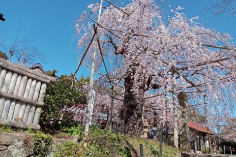 千手院