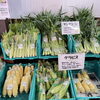 「信州の伝統野菜『開田きゅうり』入荷します！道の駅木曽福島」