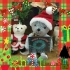 「クリスマスとお正月」