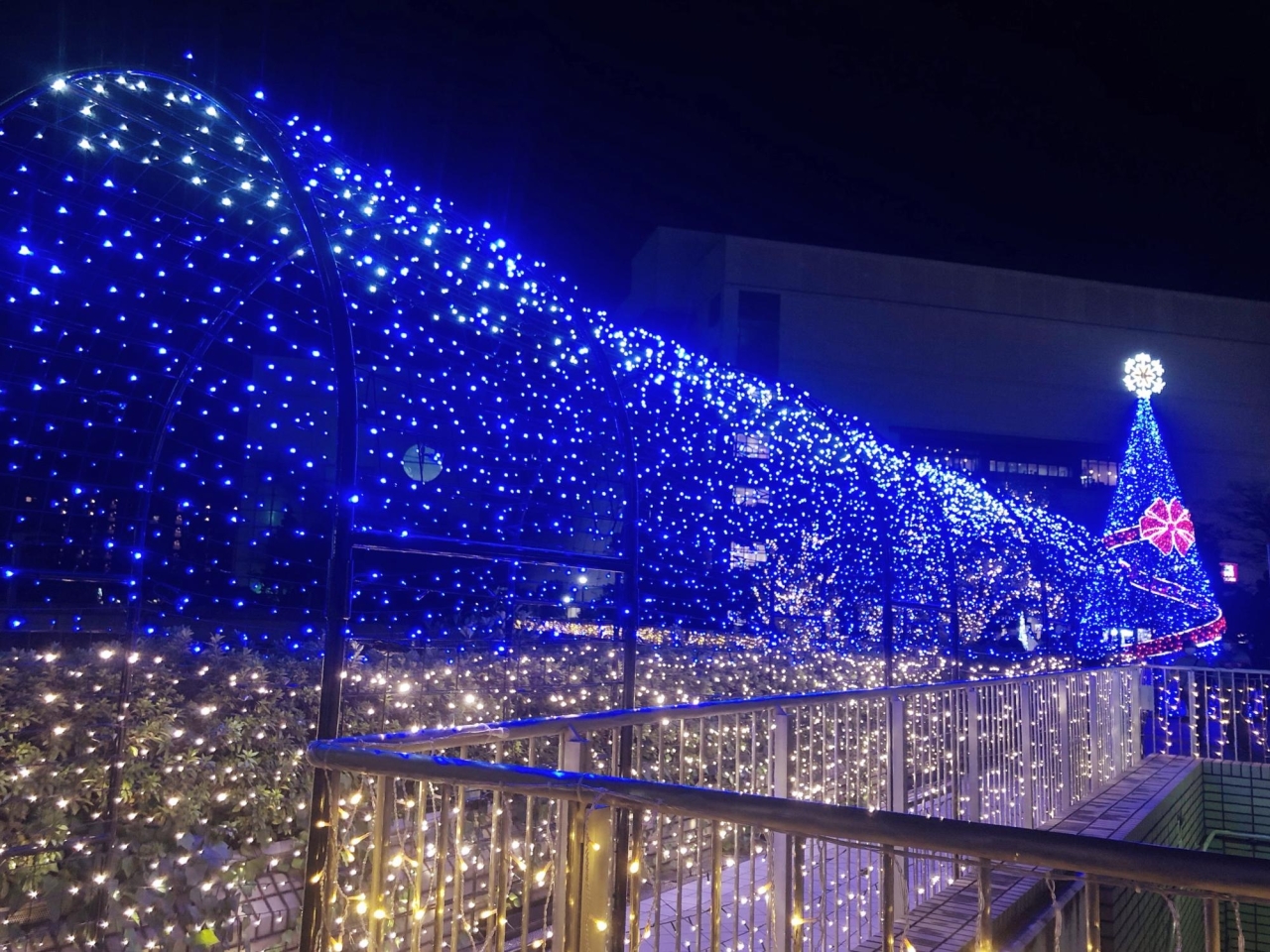 新百合ヶ丘イルミネーション Kirara アートしんゆり 川崎のイルミネーションスポット まいぷれ 川崎市 新百合ヶ丘イルミネーション Kirara アートしんゆり 川崎のイルミネーションスポット まいぷれ 川崎市