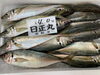「鮮魚パックいろいろ販売中‼️〆鯖も販売致します🐳」