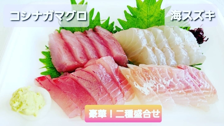 本日のお刺身 定置もん 島根県産コシナガマグロ 海スズキ 寺津屋 仕出し 会席料理のニュース まいぷれ 松江 本日のお刺身 定置もん 島根県産コシナガマグロ 海スズキ 寺津屋 仕出し 会席料理のニュース まいぷれ 松江