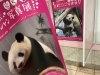「さよならシャンシャン　[看板・カッティングシート・防犯フィルム・紫外線対策・ステッカー・内装用フィルム・カーフィルム・溶接・アクリル加工・木工加工]」