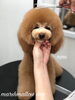 「冬のオプションキャンペーン　^o^」