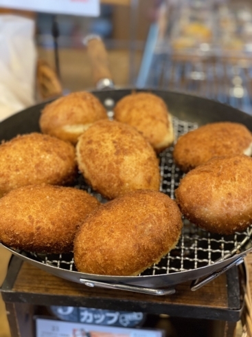 【アトリエ　ダーシャ】　カレーパン「ツアーご参加ありがとうございました!!【春の水元公園トゥクトゥク周遊ツアー】【2021年春の旅行　少人数貸し切りツアーは『たま研』にお任せ！家族　癒し　巡り　ツアー　関東　東京　水元　トゥクトゥク　ハイヤー　さくら】」