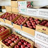 農産物直売所 屋外りんご売場「りんご『サンふじ』贈答用10kg箱・5kg箱 入荷しました！」