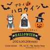 「【今年のハロウィン♡　みんなで盛り上がっちゃおう！！】ハロウィン撮影会のご案内～ハロウィンパーティー」