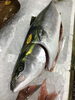 「魚魚市場鮮魚コーナーおすすめは「アジ・ぶり」です♪」