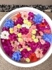「🌸花手水のご紹介🌸」
