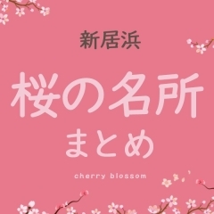 【2024年】桜の名所まとめ【新居浜】