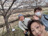 あじさい遊歩道、錦照会の桜も見に🥰 この時まだ早「4/3(木)多古町妙光寺【千部会】」