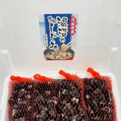 生しじみ（大粒）400ｇ×4セット