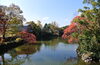 「【2024年】紅葉スポットまとめ 掲載しました！」