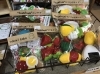 フルーツやお弁当のおかずがたくさん♬「雑貨らんど★すえたけ　みのり工房さん新商品入荷です！【下松・周南・光】」