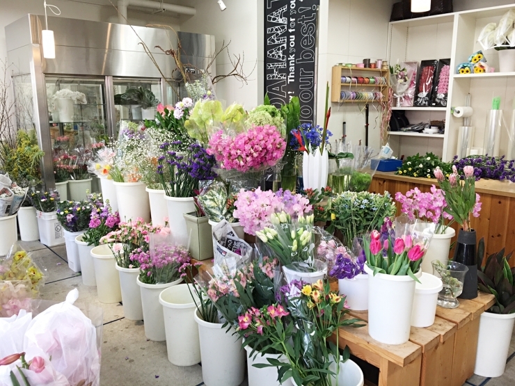 広島市南区 まいぷれ