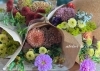 お彼岸「秋の気配とお彼岸のお花たち」