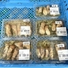 農産物直売所では地元産の天然きのこが入荷する日も増えてきました