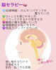 「整顔・脳セラピーメニュー」