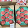 「信州産『とうもろこし』はじまります！」