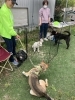 愛犬との寛ぎ空間をご用意「キャンドルや石けんづくりにぴったり！少人数ハンドメイドワークショップのご案内」