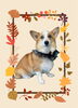 「Dog salon mofu mofu　余市町」