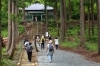 置賜三十三観音 第4番 天養寺中村観音へ「【花×伊達な城館ウォーク】に参加してきました❗」