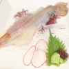 【一天張｜唐津市】唐津の魚と新鮮な素材をいかした割烹料理が味わえます！