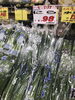 「本日は青果祭！釧路スーパーヒロセ」