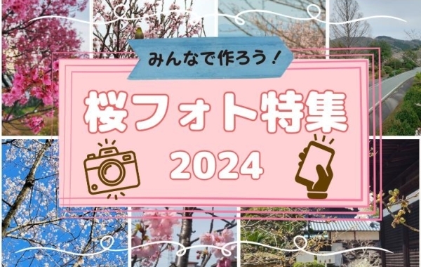 みんなで作ろう！まいぷれ桜フォト特集2024