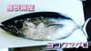 「○本日のお刺身○【島根県産】ヒラメ、ヨコワマグロ」