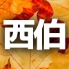 今どう！？米子・西伯・境港の紅葉見頃速報！